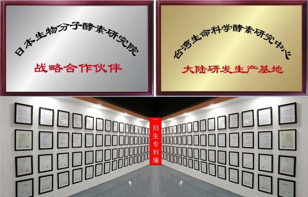 一陽(yáng)生集團再獲一項專(zhuān)利，譜寫(xiě)海洋生物資源開(kāi)發(fā)新篇章